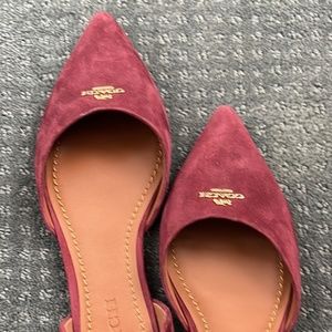 D'orsay Flats Coach
